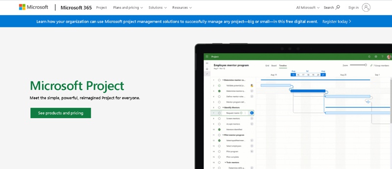 Microsoft Project for flexible projects