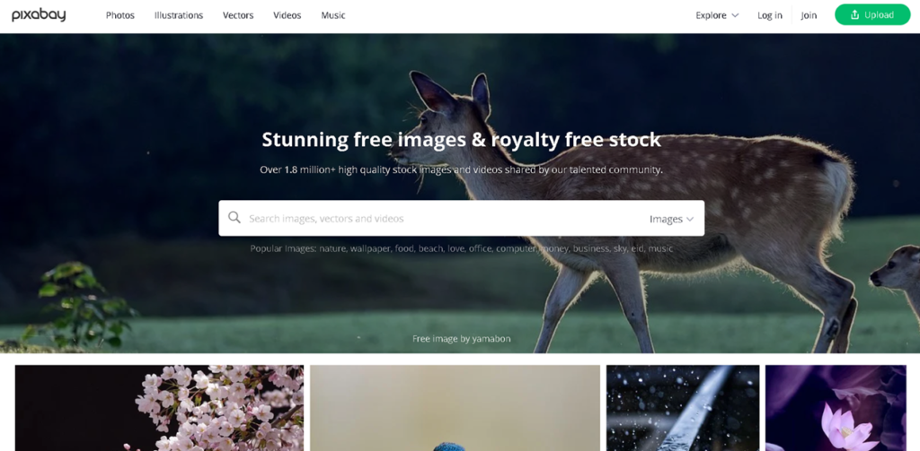 Pixabay pour des images et des vidéos gratuites pour un site web