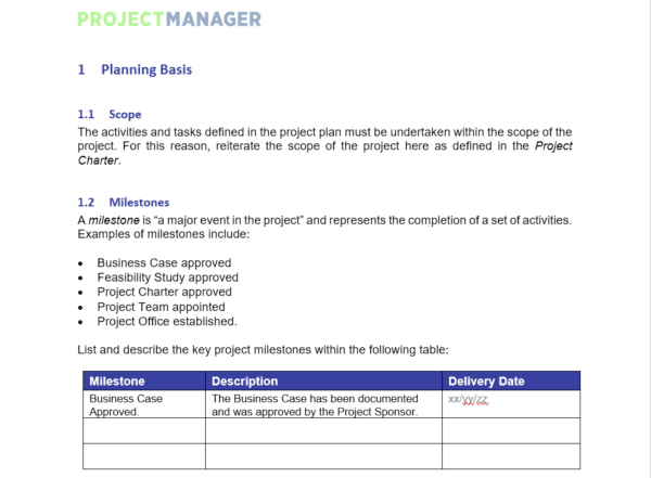 Project Manager project plan - free project management templates