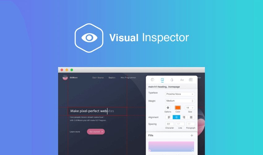 Capture d'écran de Visual Inspector