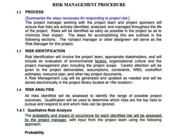 formal risk management template