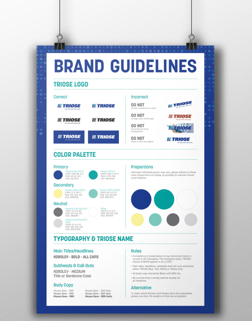 brand guidelines visual aid poster