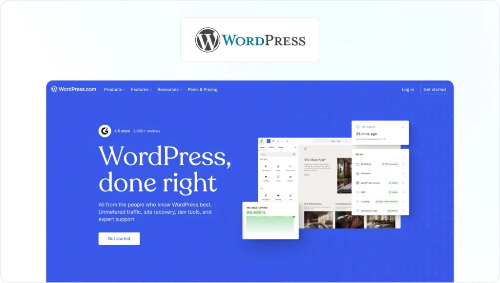 Wordpress homepage view