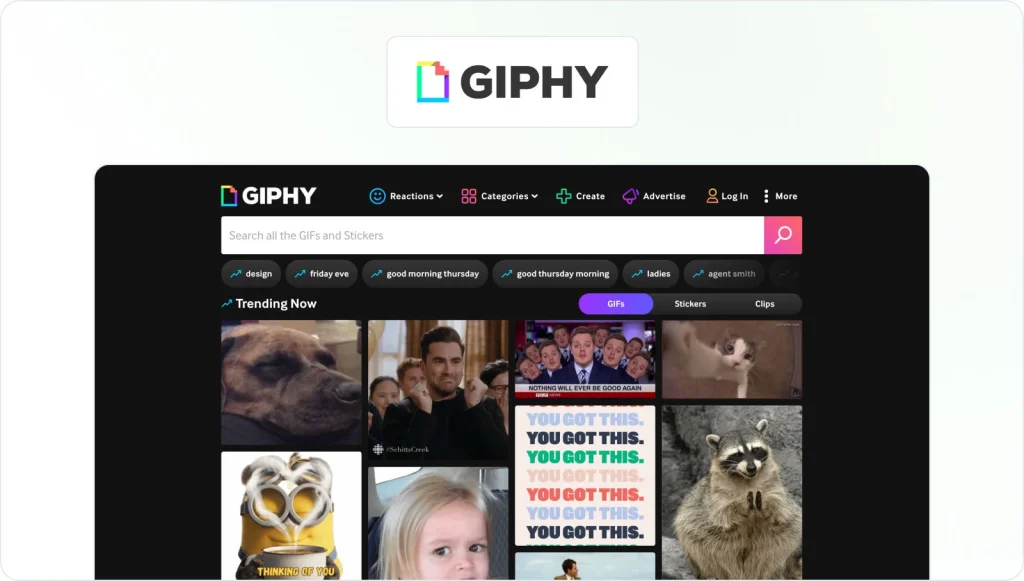 GIPHY homepage view